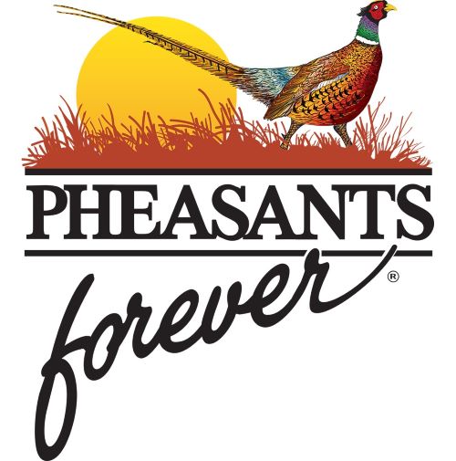 Illustration of sun on horizon with ring tailed pheasant and grass in foreground and the words "Pheasants Forever" below