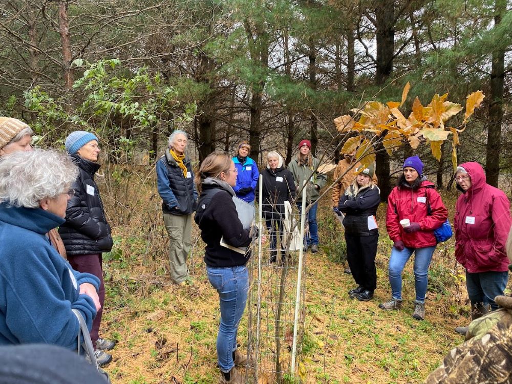 Group of people attending an outdoor workshop in a wooded area.