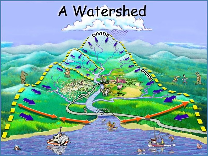 Illustration showing how water flows from the land into streams, rivers and larger water bodies.