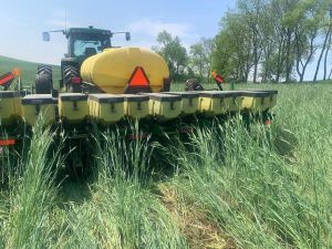 planting in cover crops